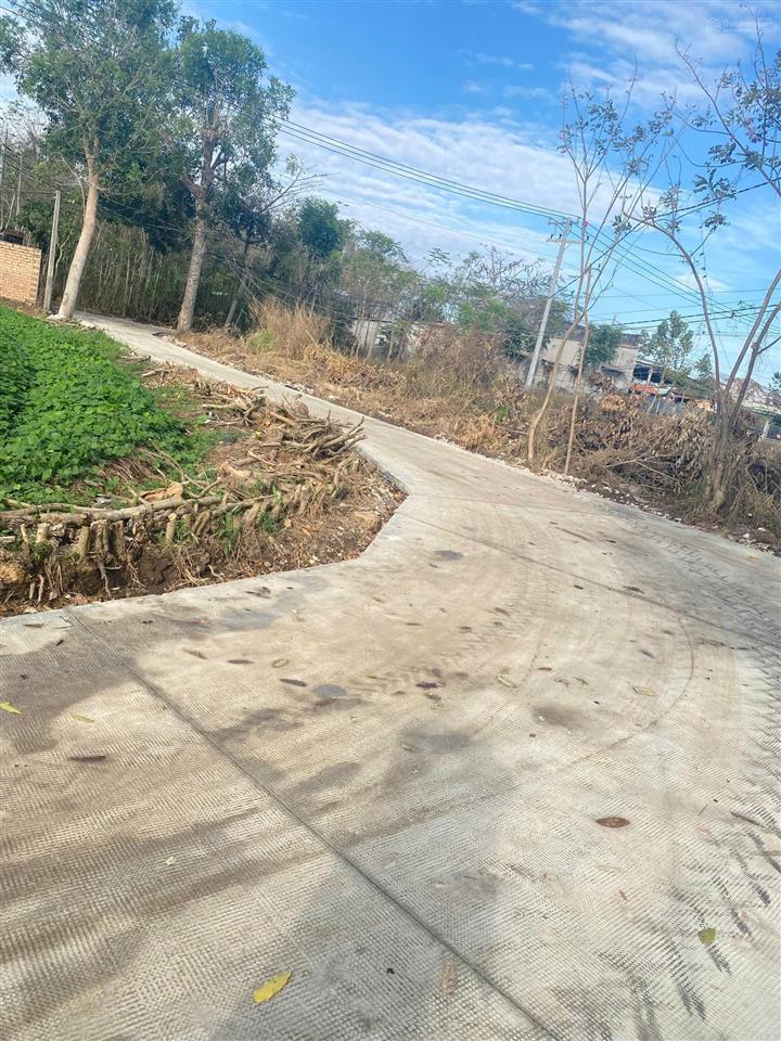 Đất thổ cư ấp thoại hương, xã xuân đông, huyện cẩm mỹ, đồng nai, khu dân cư, đường bê tông, giá rẻ