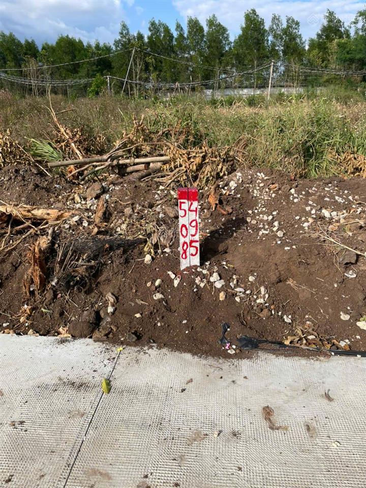 Đất thổ cư ấp thoại hương, xã xuân đông, huyện cẩm mỹ, đồng nai, khu dân cư, đường bê tông, giá rẻ