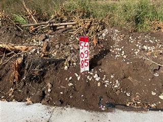 Đất thổ cư ấp thoại hương, xã xuân đông, huyện cẩm mỹ, đồng nai, khu dân cư, đường bê tông, giá rẻ