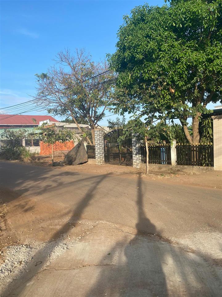 Đất thổ cư ấp thoại hương, xã xuân đông, huyện cẩm mỹ, đồng nai, khu dân cư, đường bê tông, giá rẻ