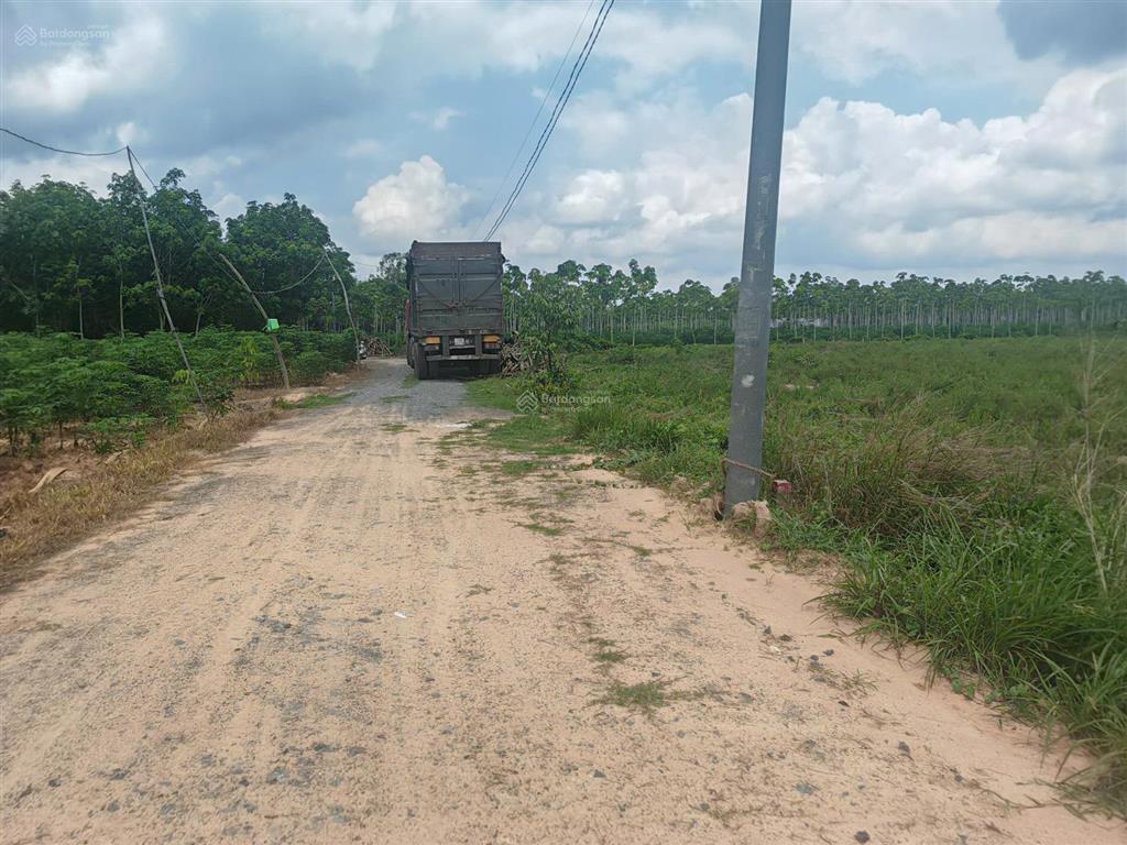 Đất mẫu hoà thạnh (cũ), nay là hoà hội, châu thành, tây ninh gần đường nhựa, xe oto tận đất, giá rẻ