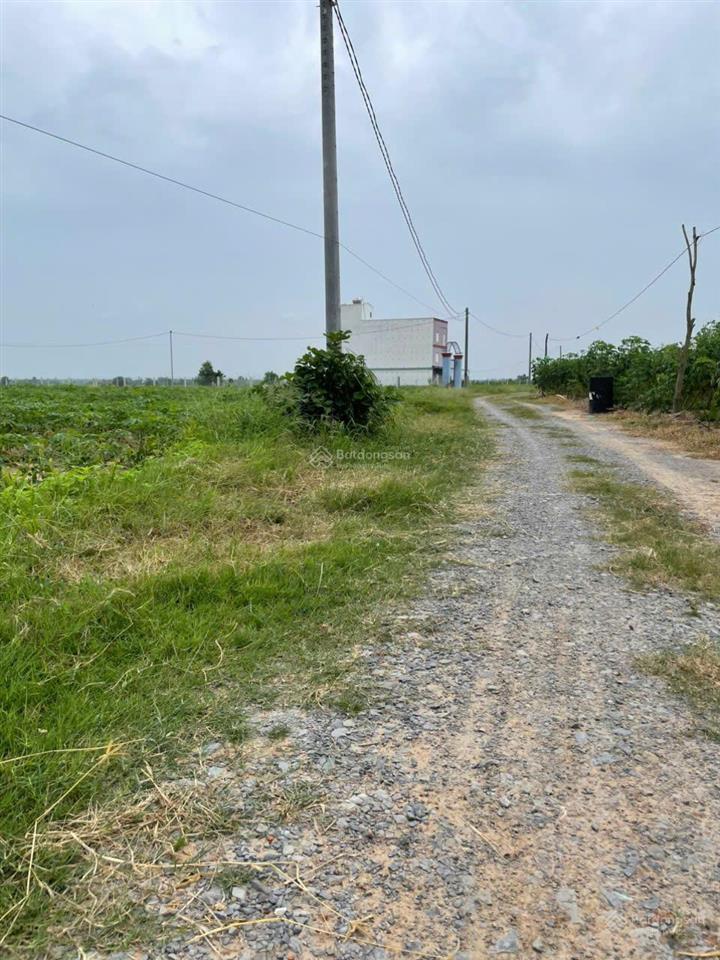 Đất mẫu hoà thạnh (cũ), nay là hoà hội, châu thành, tây ninh gần đường nhựa, xe oto tận đất, giá rẻ