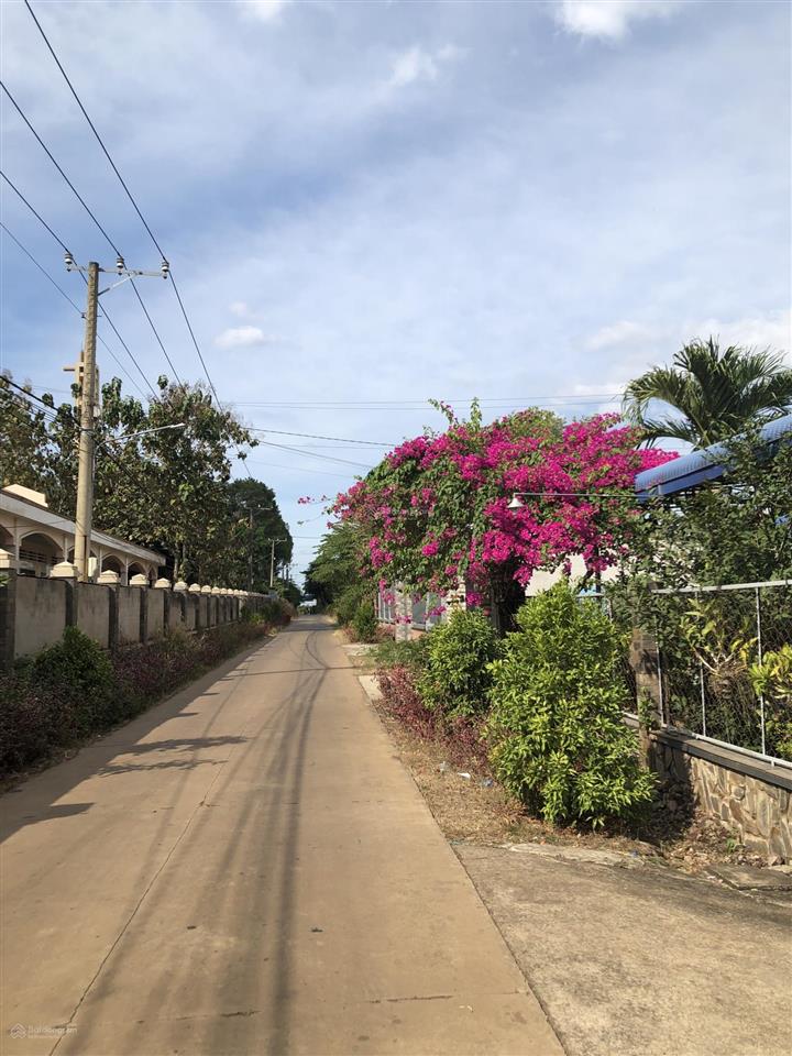 Đất thổ cư xã xuân phú, đường bê tông xuân phú 19, 5 phút đi ra quốc lộ 1a, gần trường, chợ, y tế