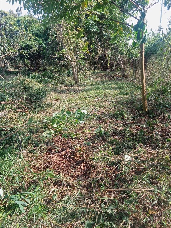 Bán đất hai mặt tiền đường bê tông tại xuân tâm, cách đường nhựa 200m, đất thổ cư toàn bộ, giá tốt