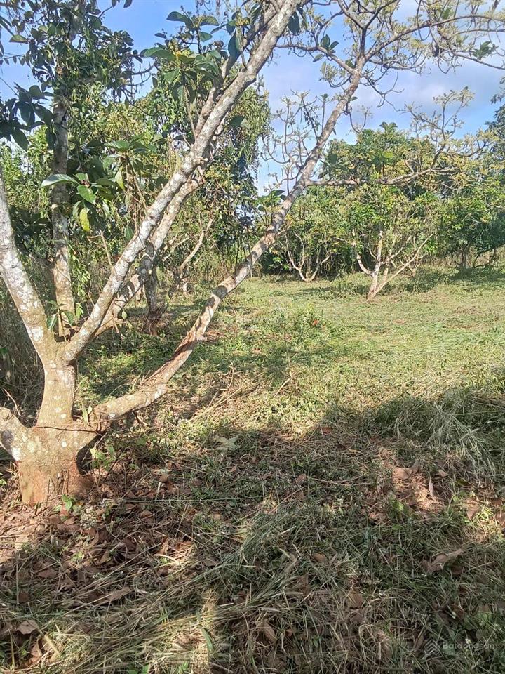 Bán đất hai mặt tiền đường bê tông tại xuân tâm, cách đường nhựa 200m, đất thổ cư toàn bộ, giá tốt
