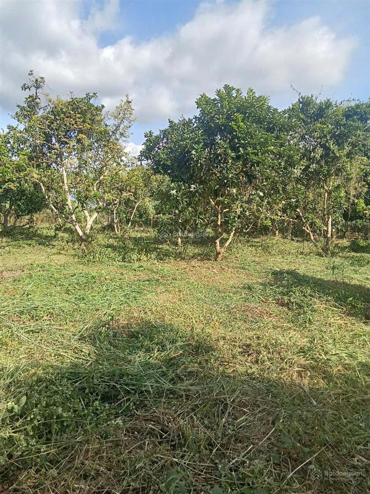 Bán đất hai mặt tiền đường bê tông tại xuân tâm, cách đường nhựa 200m, đất thổ cư toàn bộ, giá tốt