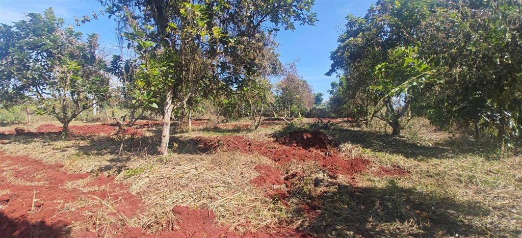 Bán đất hai mặt tiền đường bê tông tại xuân tâm, cách đường nhựa 200m, đất thổ cư toàn bộ, giá tốt