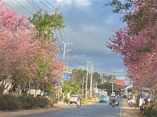 Bán đất xuân thọ  thành phố đà lạt