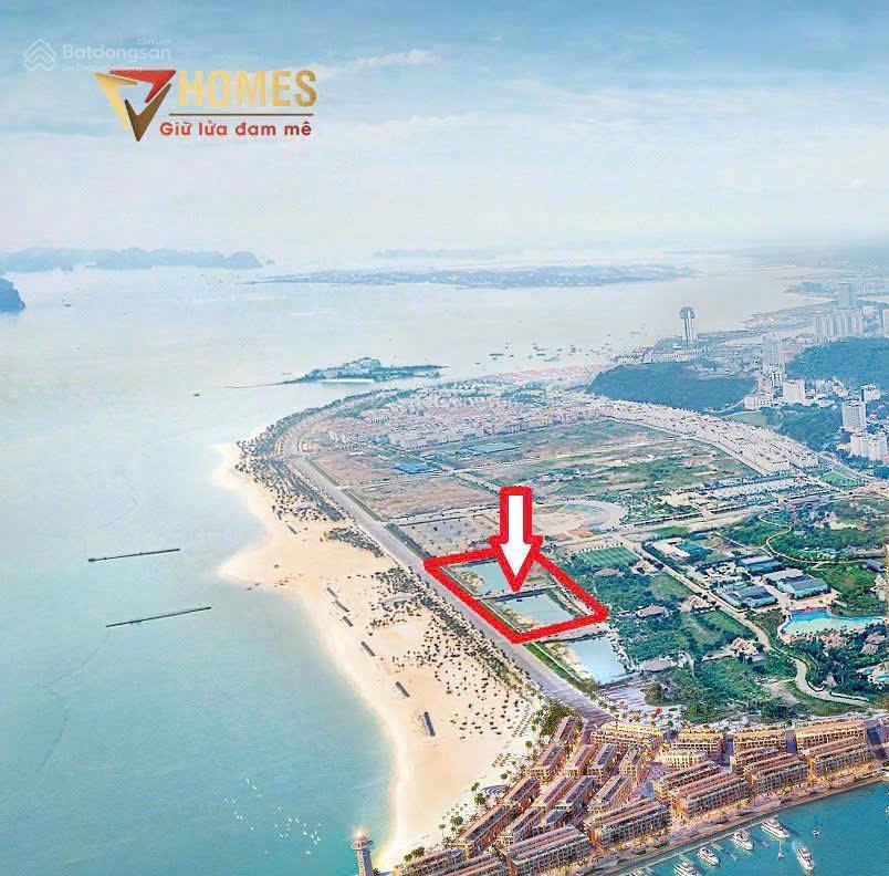 Quỹ căn studio giá từ 1,5 tỷ của căn hộ khoáng nóng onsen tại mặt biển bãi tắm bãi cháy, hạ long.