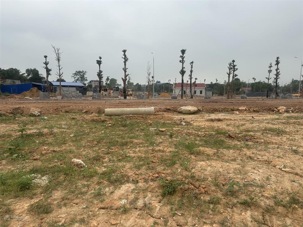 Dự án bám sát đường vành đai 5 giá gốc chủ đầu tư