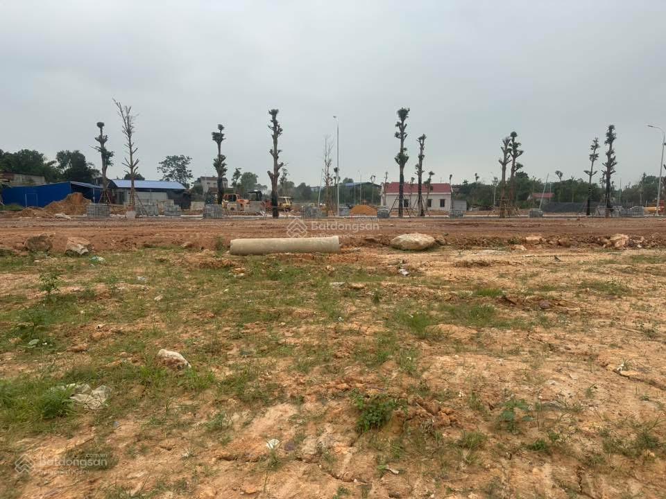 Mua đất đô thị giá chỉ 20 triệu/m2