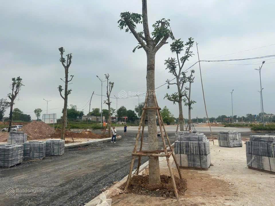 Cơ hội đón sóng đầu tư từ dự án khu dân cư số 3 phú bình thái nguyên