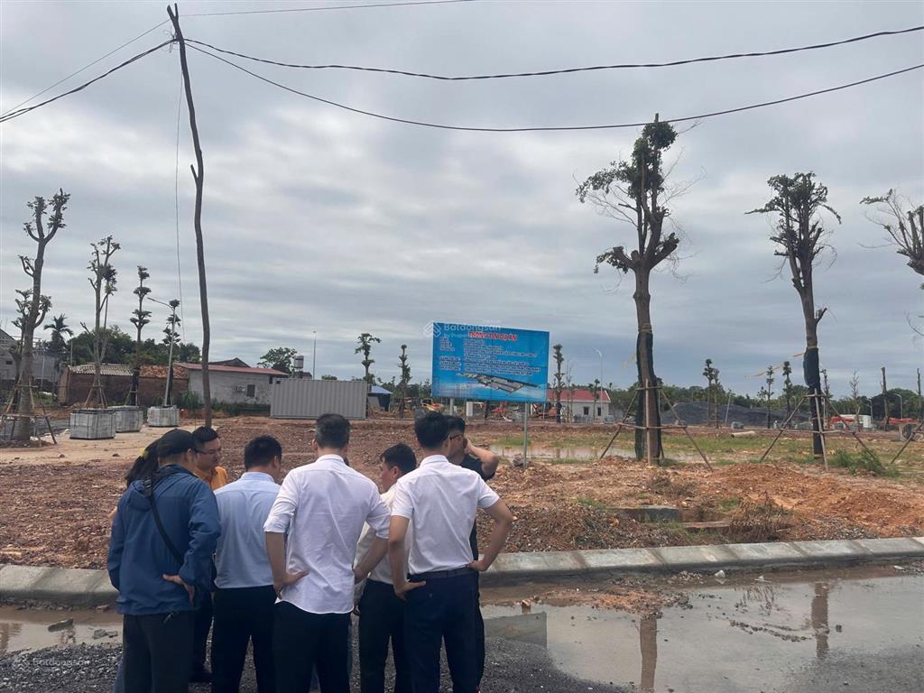 Tùng linh peaceful đất nền bám sát đường vành đai 5 giá tốt nhất thị trường