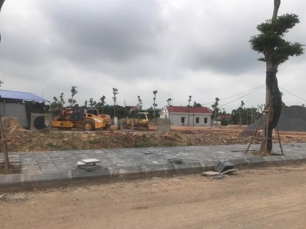 Bán đất dự án tùng linh peaceful cạnh đường vành 5 vị trí siêu đẹp