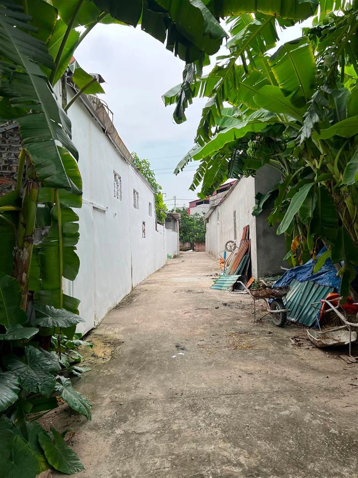 BÁN ĐẤT LỆ CHI – XÃ THUẬN AN  44,6M²  MT 5,2M  Ô TÔ VÀO TẬN NHÀ, LH 0985865658
