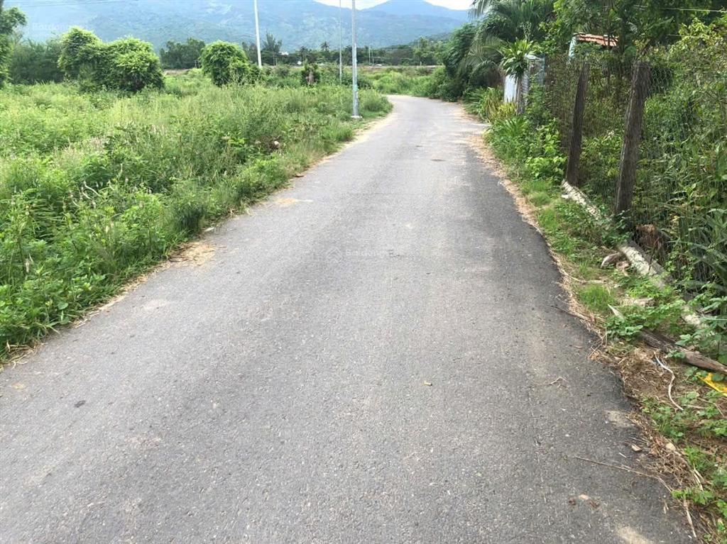 Thửa 72 tờ 121
bán đất thôn tiên ninh, xã tu bông, khánh hòa. dt 92,5m2 ( ngang 5m dài 18m) ont