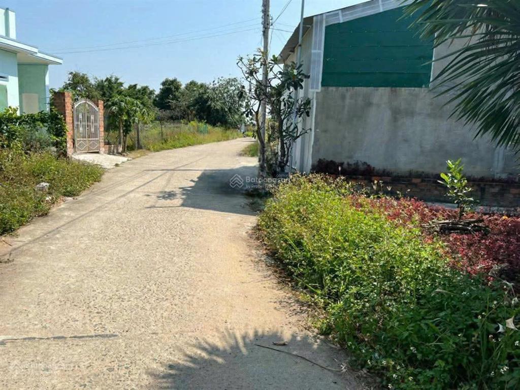 Thửa 67 tờ 121.bán đất thôn tiên ninh, xã tu bông, khánh hòa. đường ô tô tận nơi