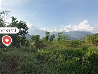 Bán đất thôn xuân tự 2, vạn hưng, vạn ninh. dt 494,1m2 ngang 15m (đất cây hàng năm).