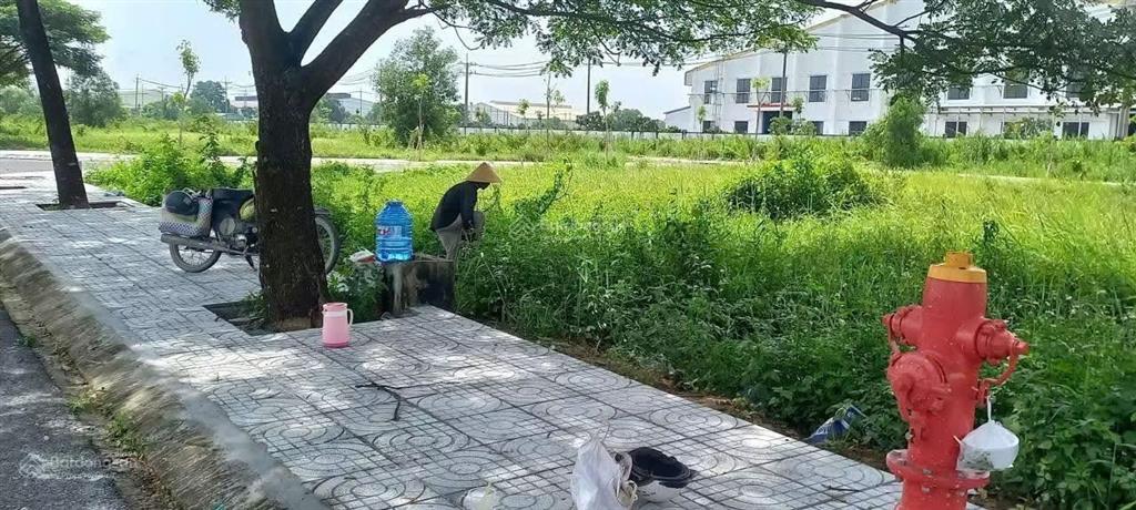 Bán đất tại khu dân cư làng sen, 650 triệu, 65 m2