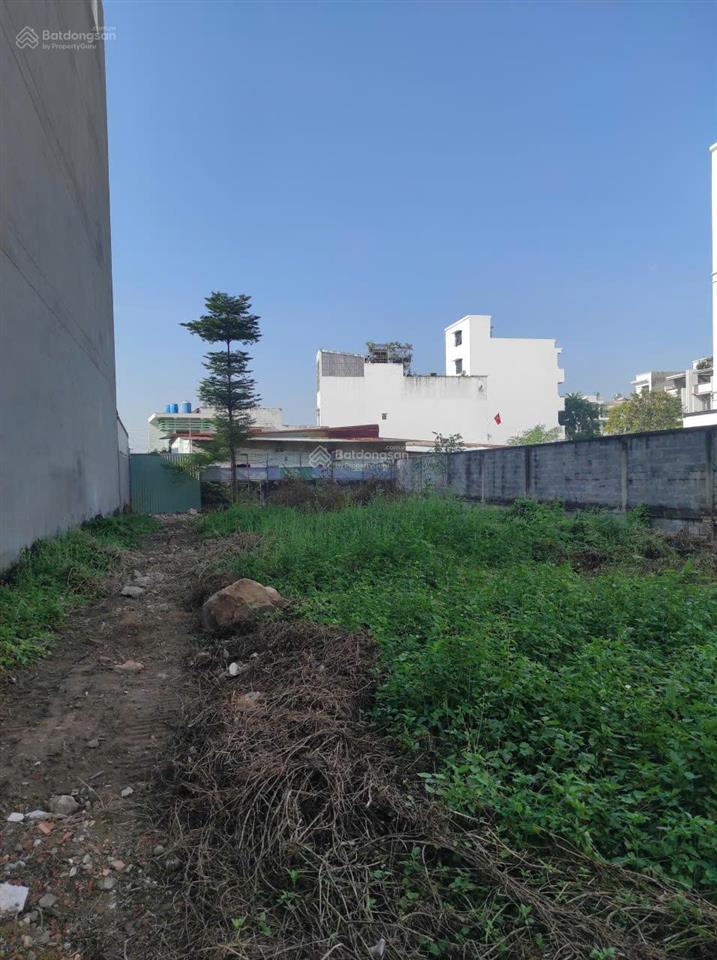 Mua đất biệt thự tặng thêm đất làm sân vườn hồ bơi