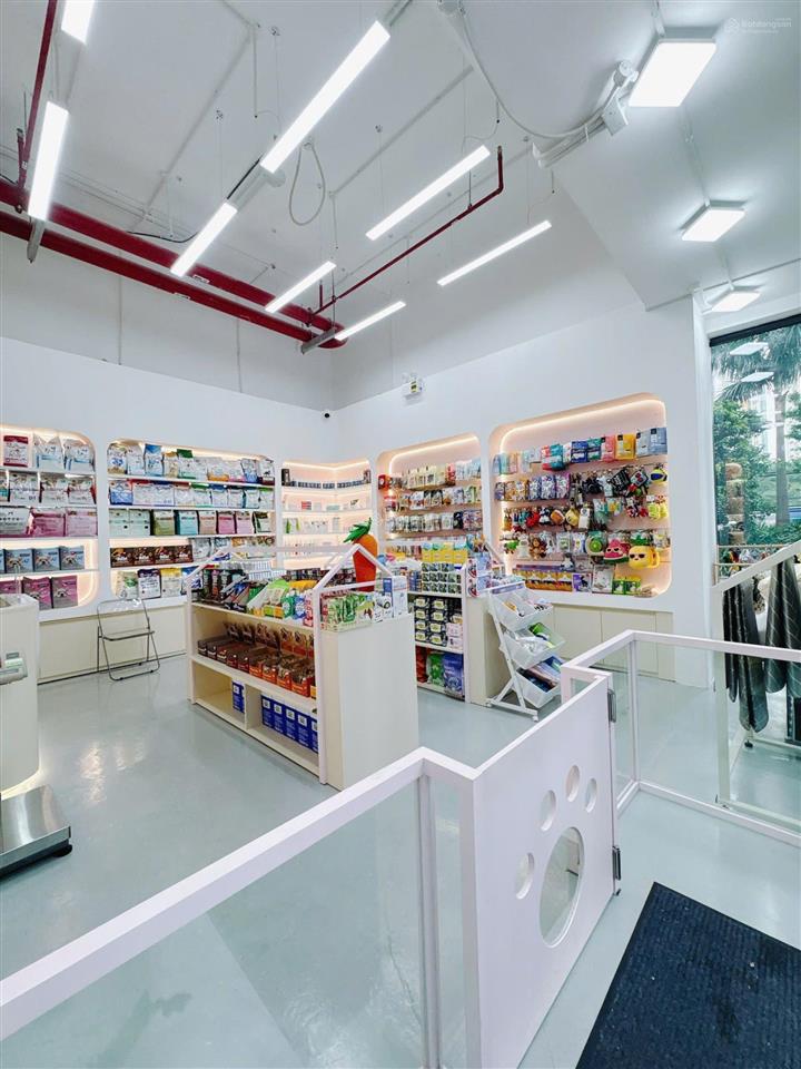 Bán nhanh shophouse lumiere giá tốt