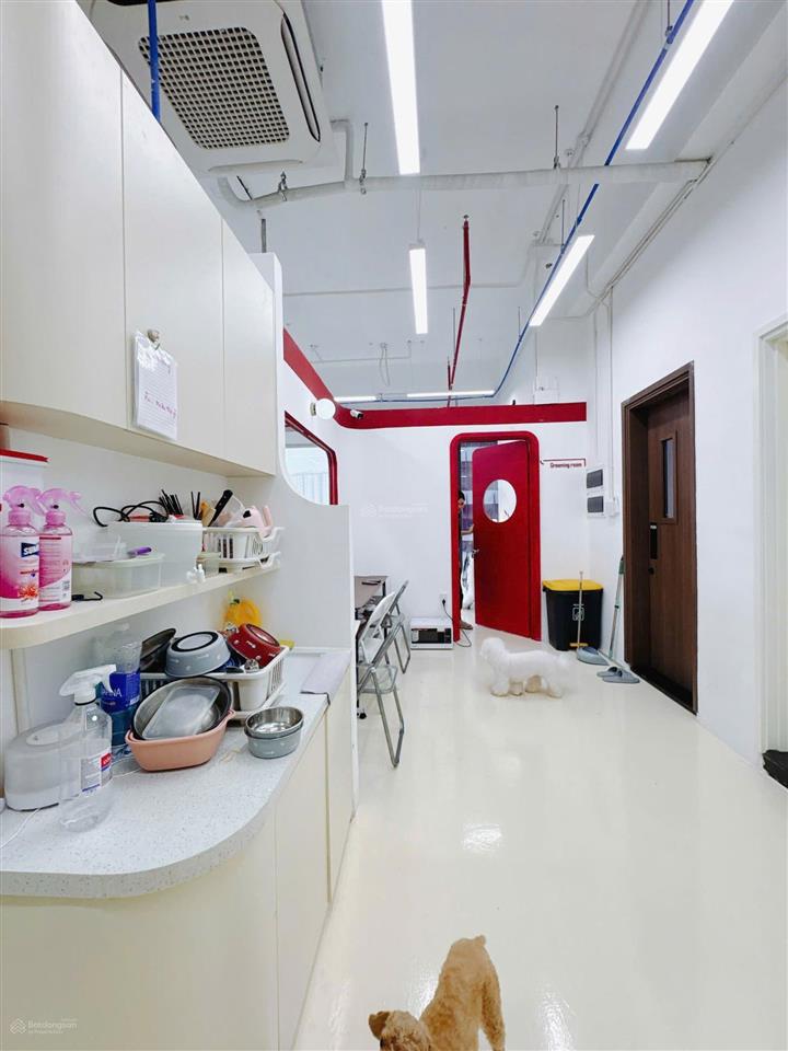 Bán nhanh shophouse lumiere giá tốt