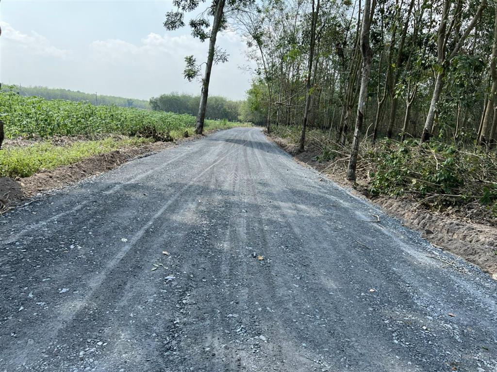 Chính chủ bán lô đất 1001m2 vị trí đẹp ấp thạnh phú, xã tân hiệp mới, tân châu, giá cực tốt