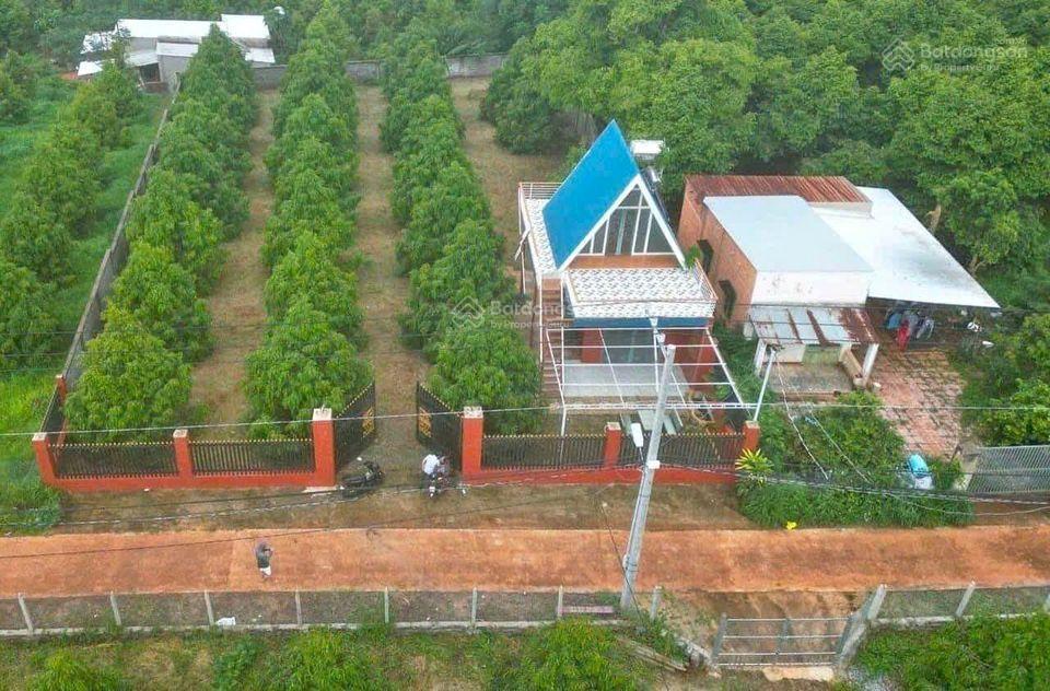 Chủ cần bán vườn bưởi 1546m2 thổ cư 100m2, ngon ngọt trĩu quả. 880tr