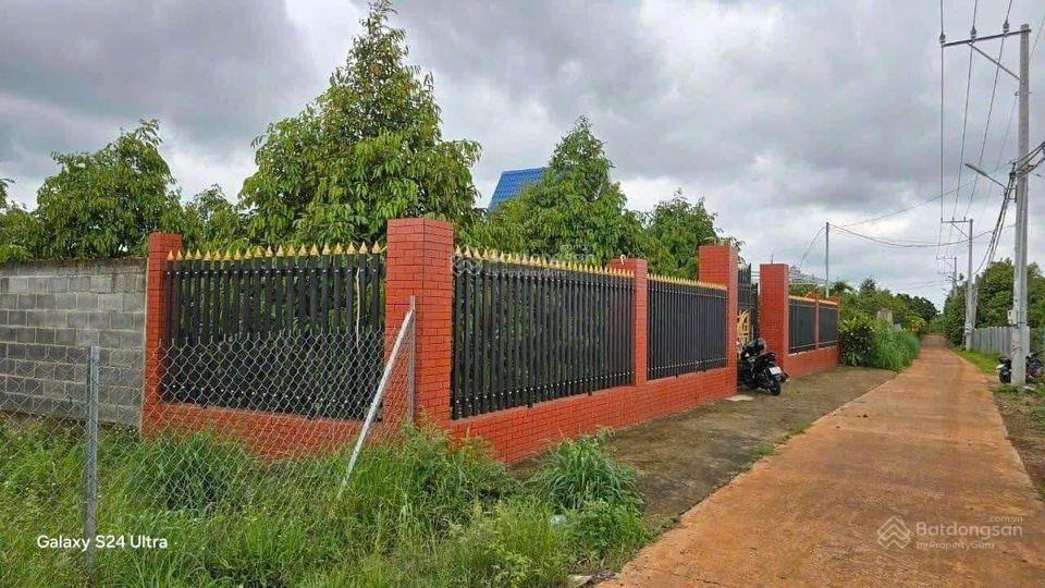 Chủ cần bán vườn bưởi 1546m2 thổ cư 100m2, ngon ngọt trĩu quả. 880tr