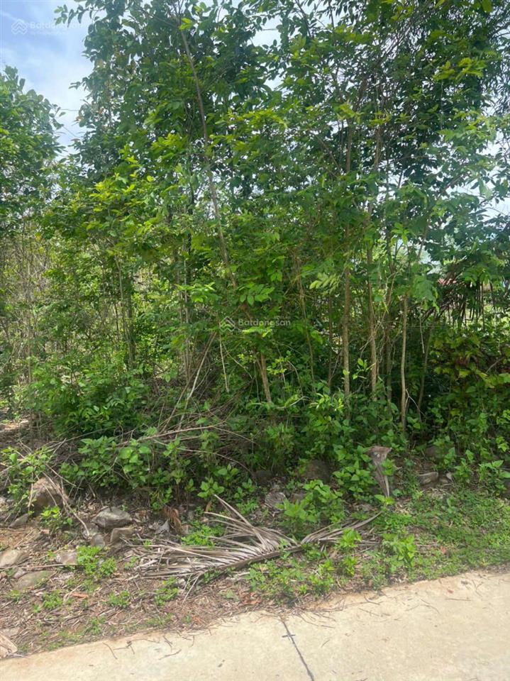Lô đất cần bán thuộc xã phú tân (nay là phú vinh), định quán, đồng nai  145,7m2  oto thông.
