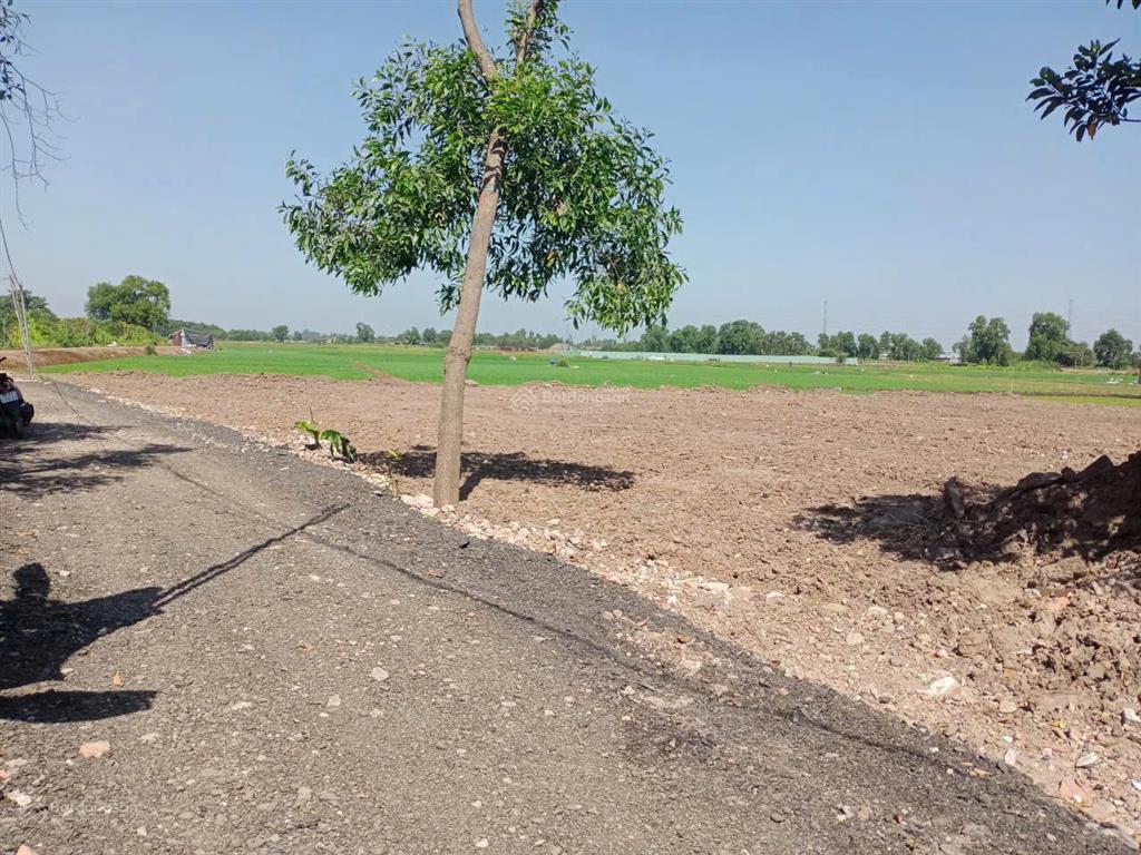 Lô đất làm nhà vườn sổ riêng 10x50m đất trồng cây đường xe tải, trung đông  thới tam thôn