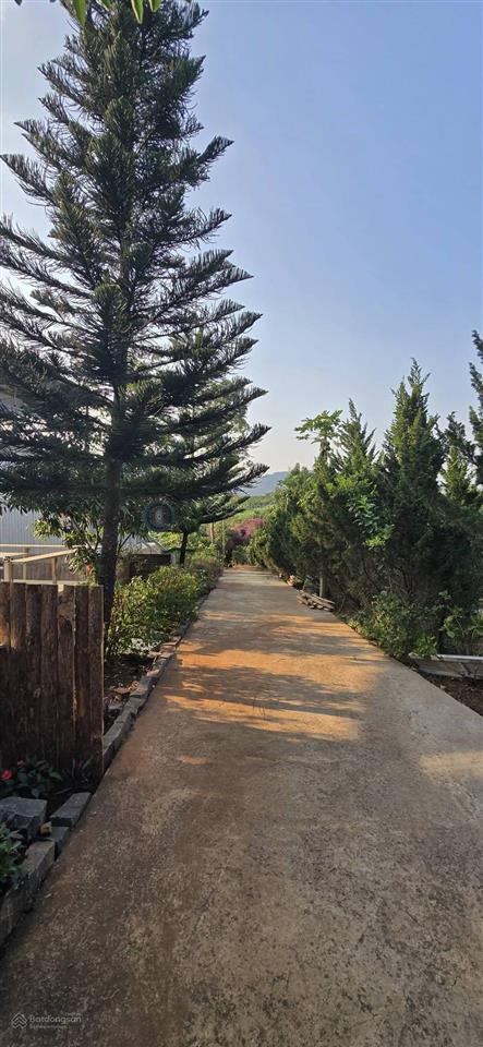 Chuyển nhượng khu nghỉ dưỡng zen garden  đức trọng, lợi nhuận ngay khi mua