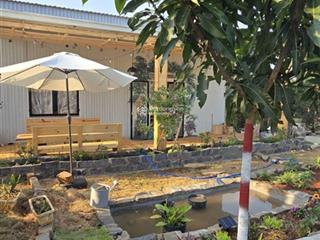 Bán farmstay nhỏ xinh giữa vườn cây và tiếng chim cách đà lạt không xa