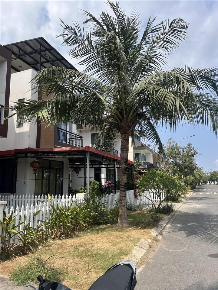 Căn biệt thự góc đẹp dự án trần anh riverside giá 3,8 tỷ giá tham khảo tốt trong khu vực