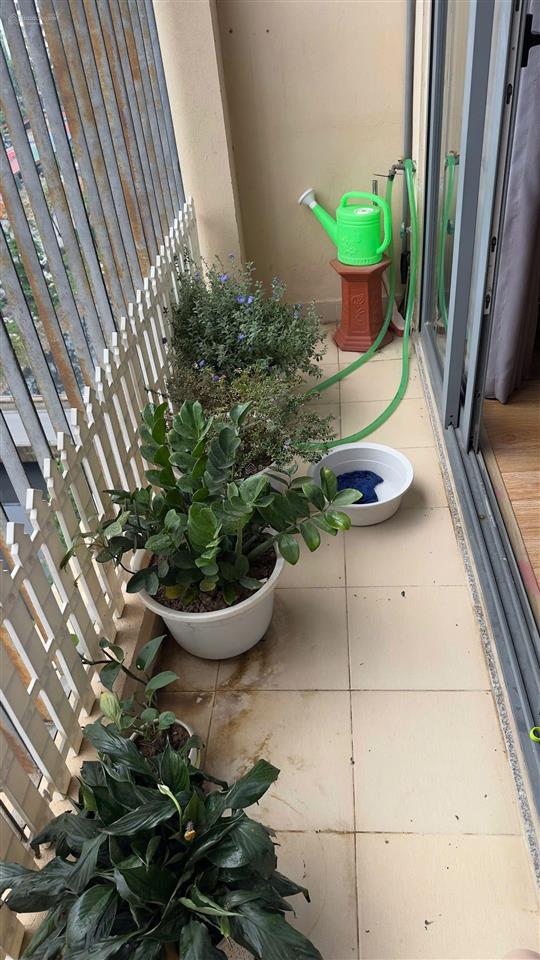 Bán căn 3pn 90m2, căn số 10 toà b chung cư ct36 định công. hướng đông năm đẹp, sẵn sổ đỏ, tầng đẹp