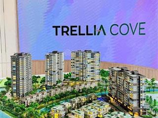 Tc2 trellia cove có chương trình tặng 2 chỉ vàng khai xuân thời gian áp dụng đến 4/3/2026