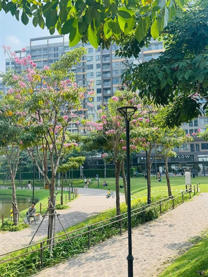 Cho thuê 2pn1wc tháp panorama 60m2 có ban công giá thuê 9 triệu ở liền