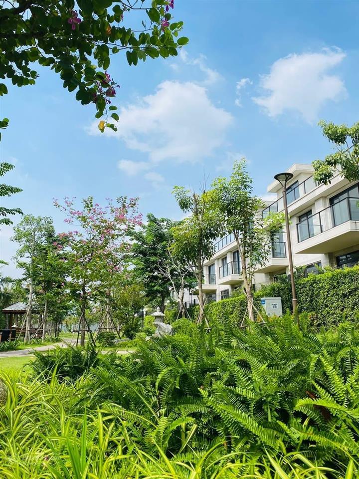 Lc0l11.14 phương án thanh toán chuẩn nhà phố trellia cove mua từ cdt chiết khấu chưa từng có 5/26