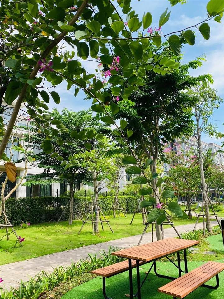 Lc0l11.14 phương án thanh toán chuẩn nhà phố trellia cove mua từ cdt chiết khấu chưa từng có 5/26