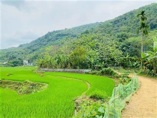 Bán đất thổ cư view cánh đồng tại hợp tiến kim bôi hoà bình