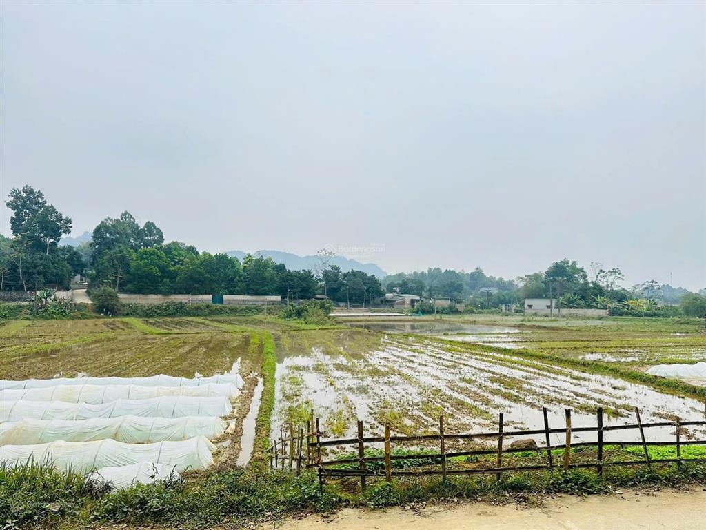 Bán đất mặt đường bê tông tại cao dương phú thọ