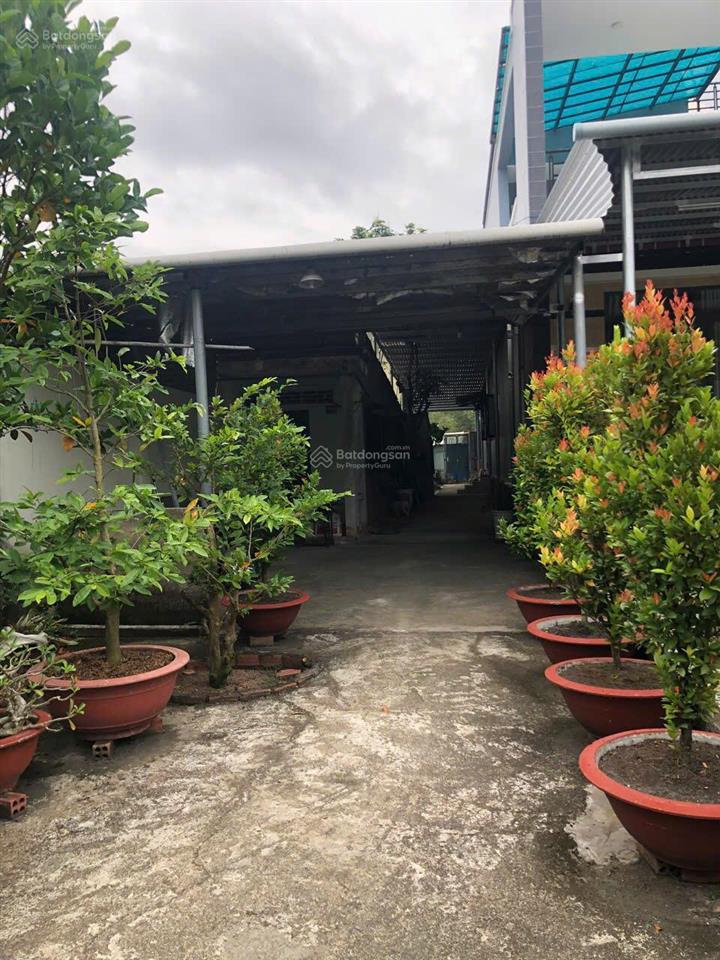 Xuất cảnh bán gấp nhà cấp 4 mặt tiền hùng vương xã vĩnh thanh đồng nai, 1227m2 thổ cư 249m2