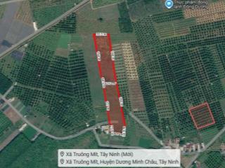 [L2682*] 1.8Ha Đất Trồng Sầu Riêng Sát Chợ Truông Mít - Giá 5.x Tỷ