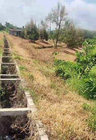 [L2682*] 1.8Ha Đất Trồng Sầu Riêng Sát Chợ Truông Mít - Giá 5.x Tỷ