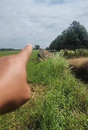 [L2682*] 1.8Ha Đất Trồng Sầu Riêng Sát Chợ Truông Mít - Giá 5.x Tỷ