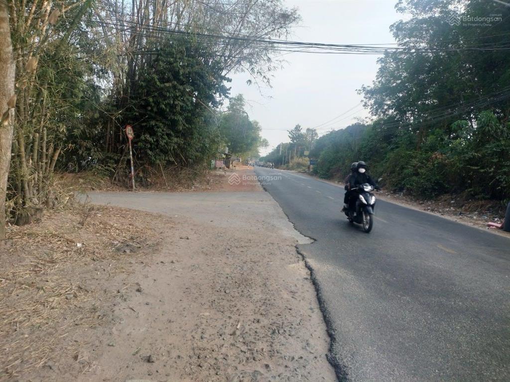 Cần bán đất gấp thành phố bến cát, tỉnh bình dương