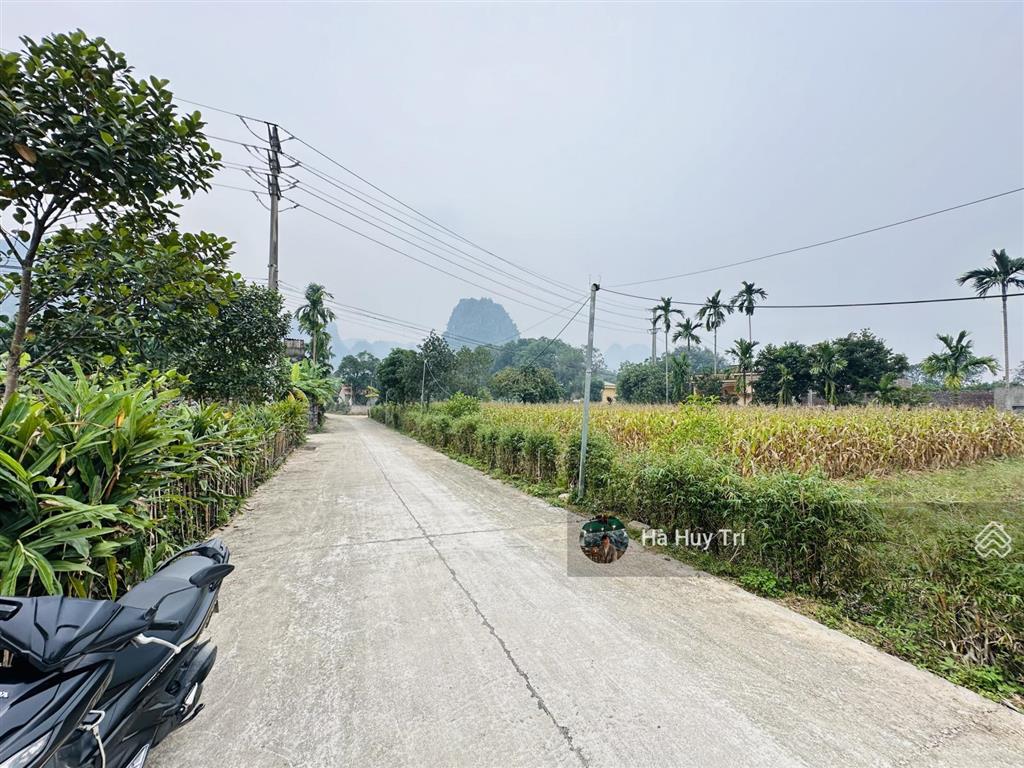 887m2  350m2 thổ cư  mt 17m  chia làm 2 mảnh rất đẹp  cách ql21a chỉ 100m