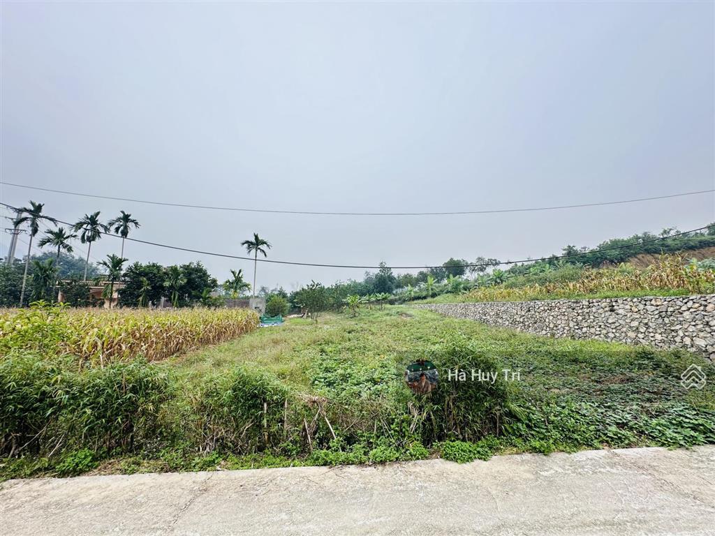 887m2  350m2 thổ cư  mt 17m  chia làm 2 mảnh rất đẹp  cách ql21a chỉ 100m
