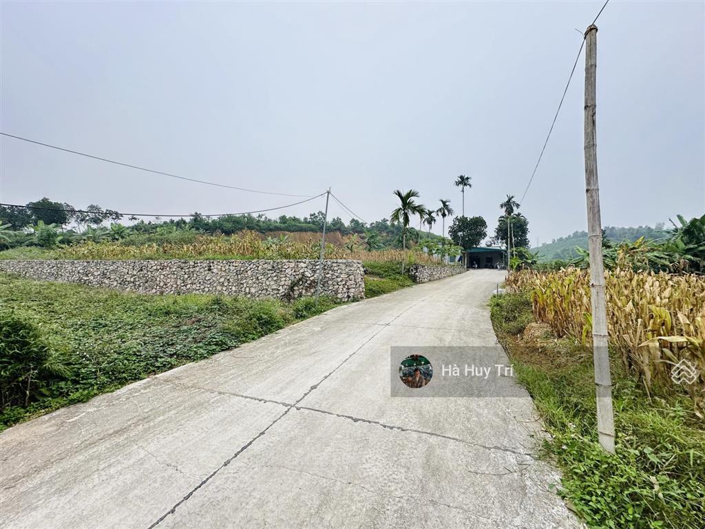 887m2  350m2 thổ cư  mt 17m  chia làm 2 mảnh rất đẹp  cách ql21a chỉ 100m