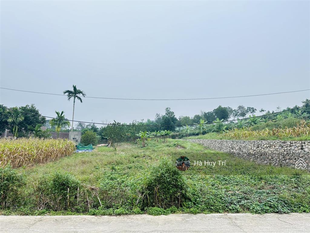 887m2  350m2 thổ cư  mt 17m  chia làm 2 mảnh rất đẹp  cách ql21a chỉ 100m